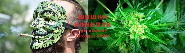МДПВ Бронницы