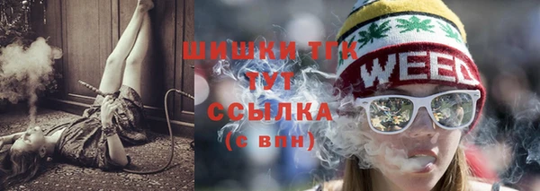 СК Бородино